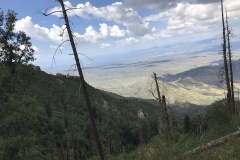 August 2018: Mt Lemmon