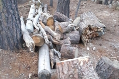 SummerCamp (24)