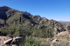 Catalina State Park