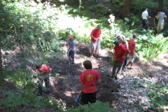 Austin's Eagle Proj 033