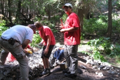 Austin's Eagle Proj 091