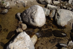 DSC01709