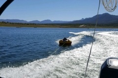 Roosevelt16